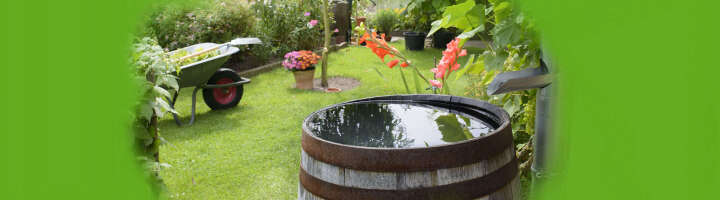 regentonne kategorieeinstiegsbanner